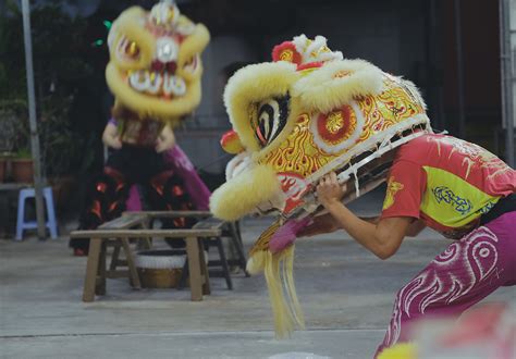 Two Brothers Fight to Save Lion Dance From Its Checkered Past - RICE