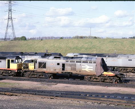 The British Rail Class 37 diesel loco | Model Railway Forum