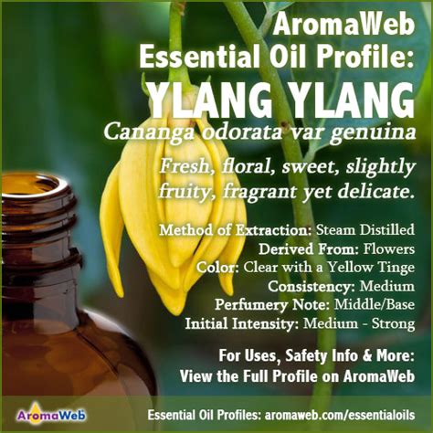 Ylang Ylang Essential Oil Uses and Benefits | AromaWeb