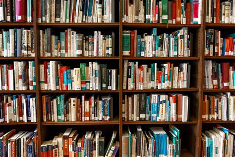 Book Shelves Photos, Download The BEST Free Book Shelves Stock Photos & HD Images