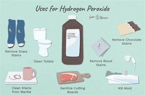 Benefits Of Hydrogen Peroxide For Teeth - Teeth Poster