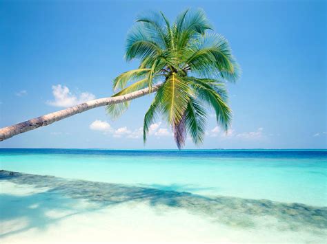 Tropical Island Wallpapers | HD Wallpapers | ID #3739