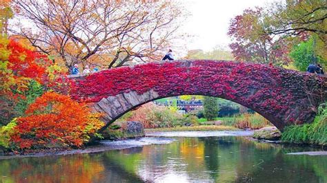 Fall in Central Park, New York, full ᴴᴰ - YouTube