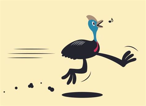 Best Cassowary Illustrations, Royalty-Free Vector Graphics & Clip Art ...