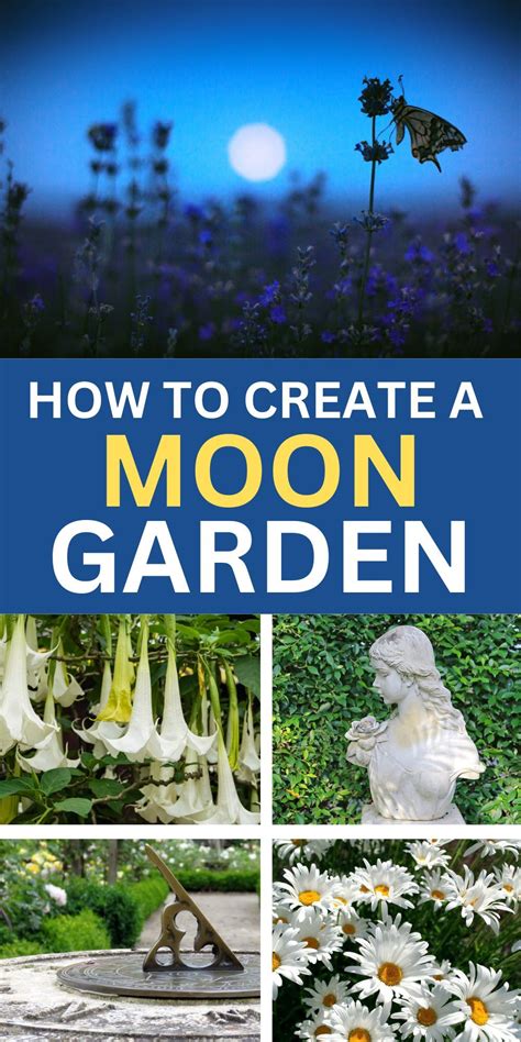 How to Create a Moon Garden: Gardening Ideas in 2024 | Spiritual garden ...