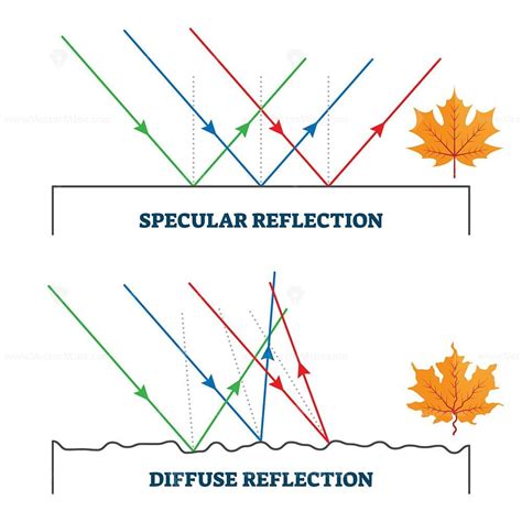 Specular and diffuse reflection, vector illustration diagram – VectorMine | Diffuse reflection ...