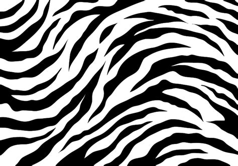 White Tiger Stripes 148777 Vector Art at Vecteezy