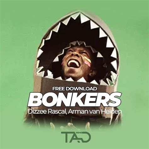 Bonkers - Dizzee Rascal, Arman Van Helden (Tad Remix) - PREVIEW - FREE ...