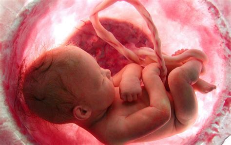 IMPORTANT new report suggests babies do experience pain in the womb as ...