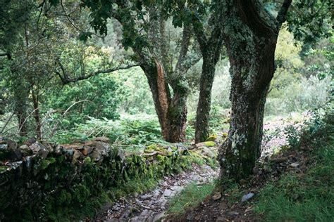 9 Best Hikes In Portugal (Coastal & Inland Trails) • Indie Traveller