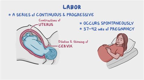 Stages of labor: Nursing - Osmosis Video Library