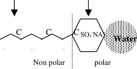 Schematic representation of the emulsifier molecule. | Download ...