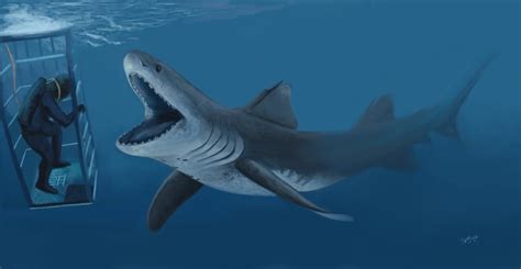 Saivodus, the giant ctenacanthiid "shark" of the Carboniferous : Naturewasmetal