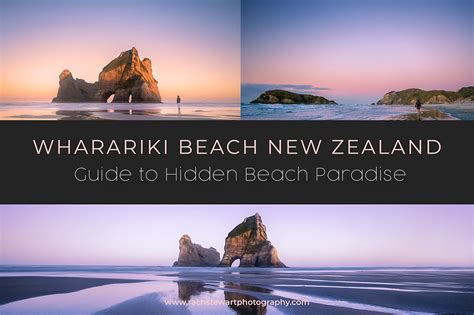 Wharariki Beach New Zealand - Your Guide to Hidden Beach Paradise