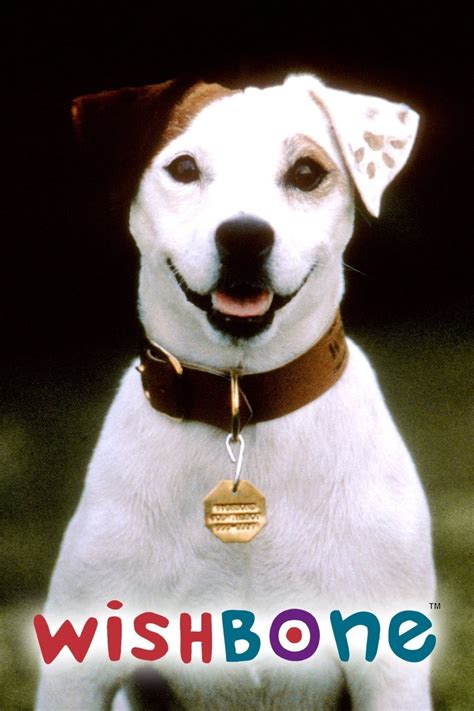 Wishbone the TV Series : r/nostalgia