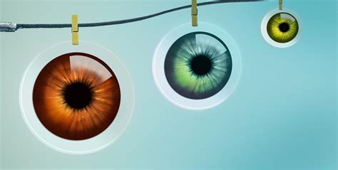 Contact Lens Fitting Vs. Eye Exam (2022 Ultimate Guide)