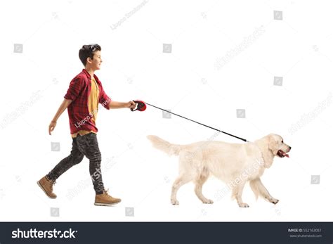 27,091 Boy Walking Dog Images, Stock Photos & Vectors | Shutterstock