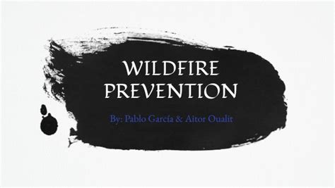 Wildfire Prevention