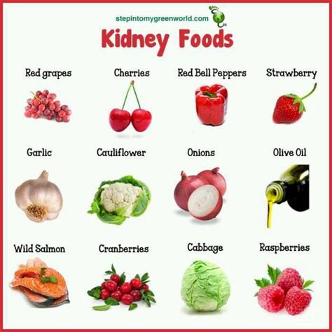 Kidney foods | Renal Diet Recipes | Pinterest | Kidney disease, Chronic kidney disease and Food