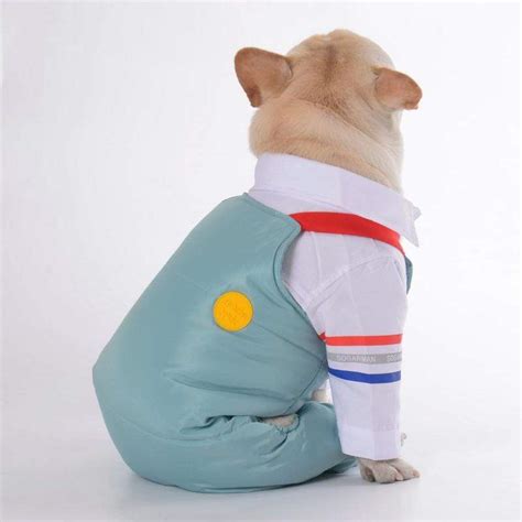 Dog Winter Ski Overall – Frenchie World Shop