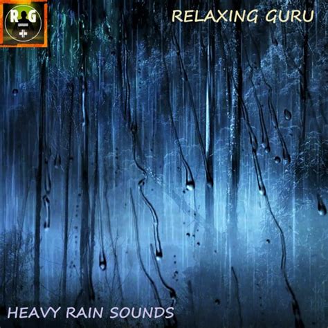 Stream Heavy Rain Sounds in a Forest at Night | Downpour Rain On Leaves ...