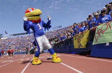 Say hi to Big Jay and Baby Jay, your KU mascots! - University of Kansas