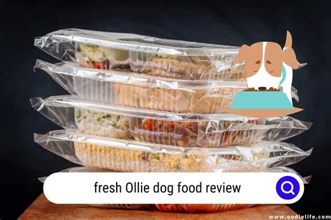 Fresh Ollie Dog Food Review (2024) - Oodle Life