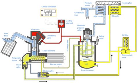 How Its Works Rotary Screw Compressor - vrogue.co