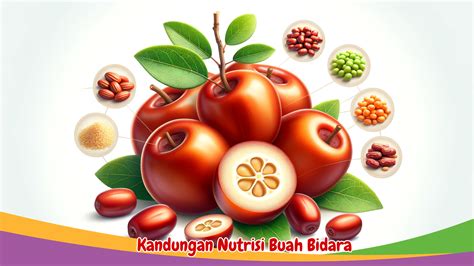 Ketahui Manfaat Buah Bidara untuk Kesehatan Anda: Mulai Nikmati Khasiatnya Sekarang - Ngelmu