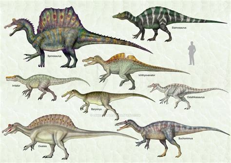 Spinosauridae | Spinosaurus, Prehistoric animals, Prehistoric wildlife