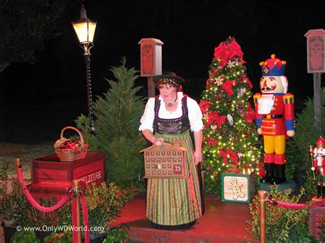 Christmas in Germany | Christmas traditions in germany, German christmas traditions, Custom ...