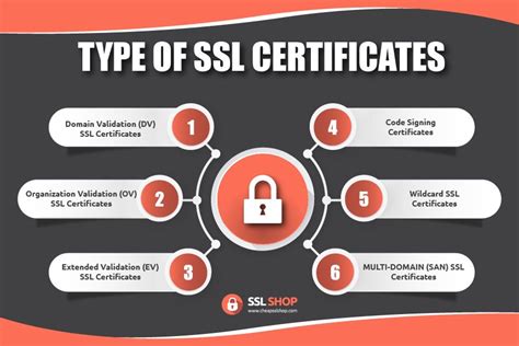 WHAT ARE THE DIFFERENT TYPES OF SSL CERTIFICATES? in 2021 | Ssl ...