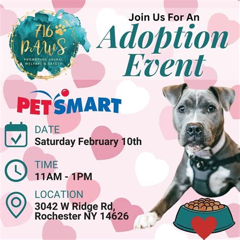 PetSmart Adoption Event - Rochester, 3042 W Ridge Rd, Rochester, NY ...