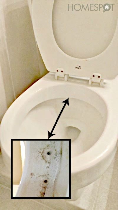 15 Toilet Cleaning Tips that You've Probably Never Heard Before