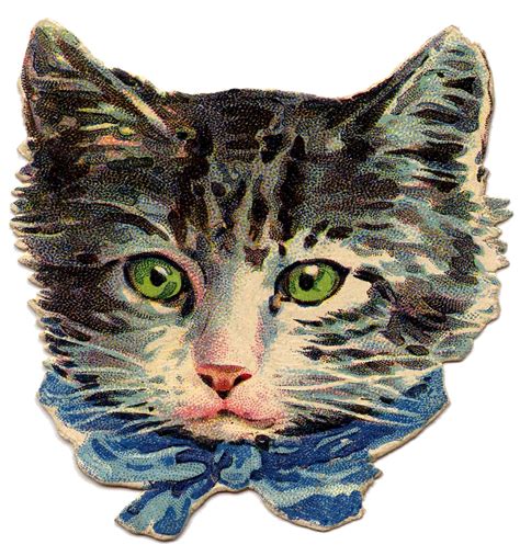 Vintage Image - Kitty Cat with Green Eyes - The Graphics Fairy