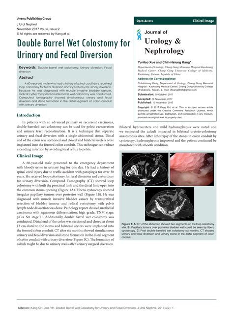 Double Barrel Wet Colostomy for Urinary and Fecal Diversion - DocsLib