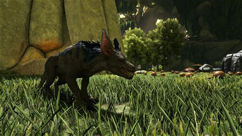 Ravager - ARK Forum | ATLAS Forum - Deutsches Forum für ARK Survival Evolved & ATLAS MMO