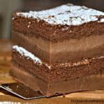 Chocolate Dipped Magic Custard Cake Squares. - Hugs and Cookies XOXO