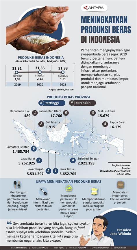 Meningkatkan produksi beras di Indonesia - ANTARA News