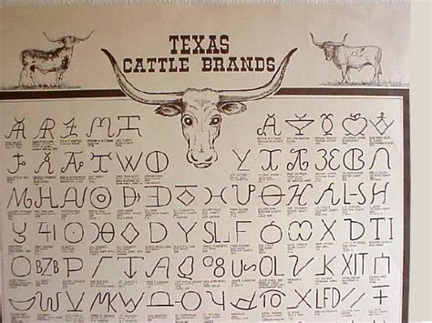 Quotes About Cattle Branding. QuotesGram