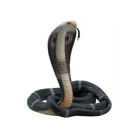 Lifelike King Cobra Snake Sculpture, STU-Home, AAWU75184AA ...