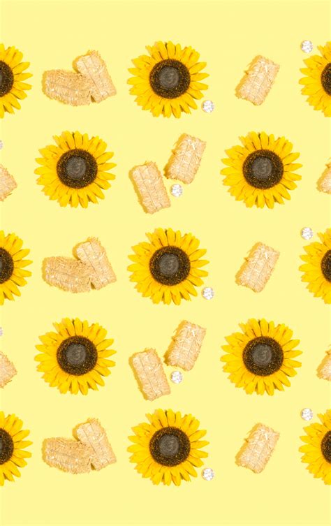 Download Sunflower - WallpaperTip
