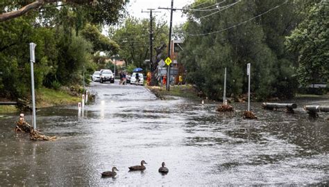 Flood waters swamp Melbourne as heavy rain slams southeast Australia | Newshub