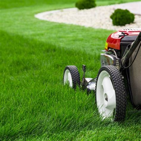 Mowing Tips: The Best Lawn Mowing Patterns