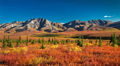 Why Visit Alaska in the Fall | Why Alaskans Look Forward to the Fall Season