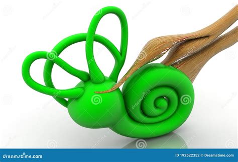 3D Illustration of Inner Ear .Cochlea in Color Background Stock Illustration - Illustration of ...