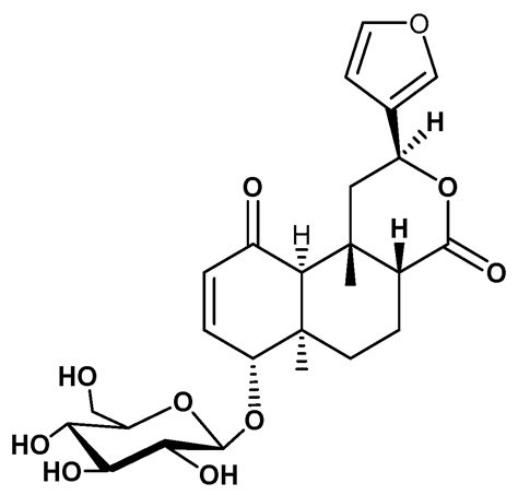 Molecules | Free Full-Text | Tinosporaside from Tinospora cordifolia Encourages Skeletal Muscle ...