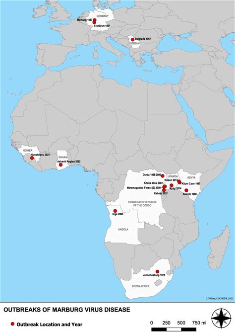 Explained: The Marburg virus and recent outbreak of the highly ...