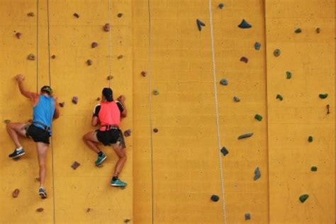 Woman seriously injured in fall from rock-climbing wall in gym - nj.com