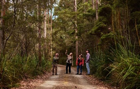 Bruny Island Birds, Wildlife and Conservation Walk